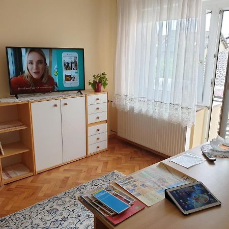 Apartment Milena Марибор Экстерьер фото