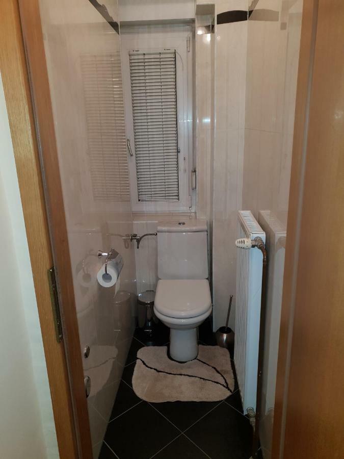 Apartment Milena Марибор Экстерьер фото